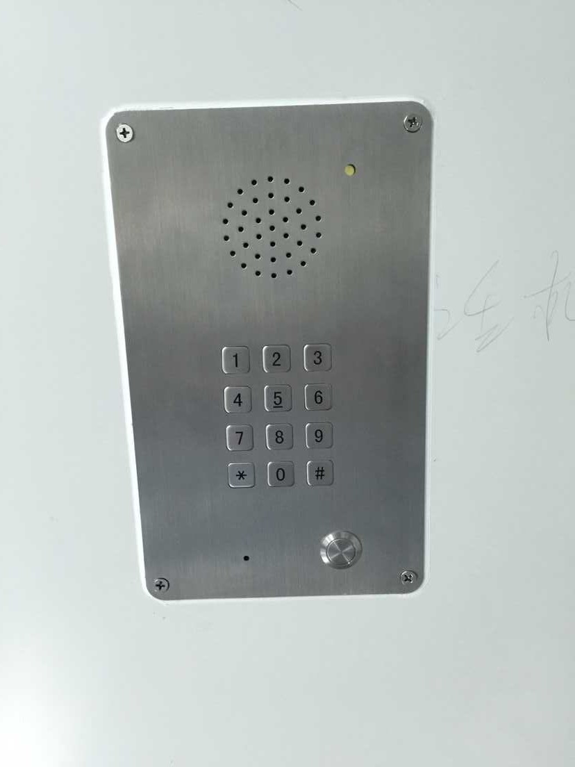 Stainless Steel Phone with Double Loudspeaker