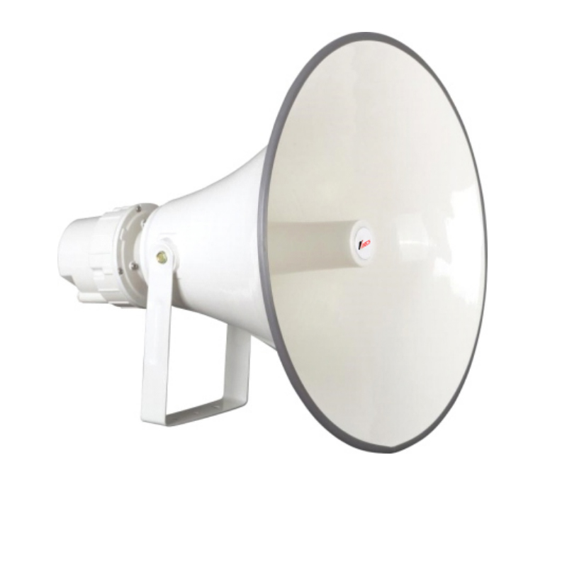 Indoor Horn Speaker